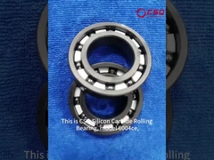 6004ce ssic ceramic bearing