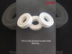 6003ce 6004ce Ceraminc Ball Bearing